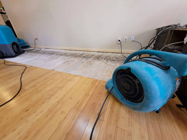 Professional Burst Pipe Water Damage technician working in Crockett Mills, TN